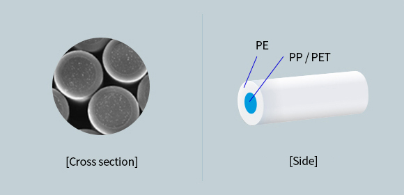 Sheath/Core형 Bicomponent 단섬유